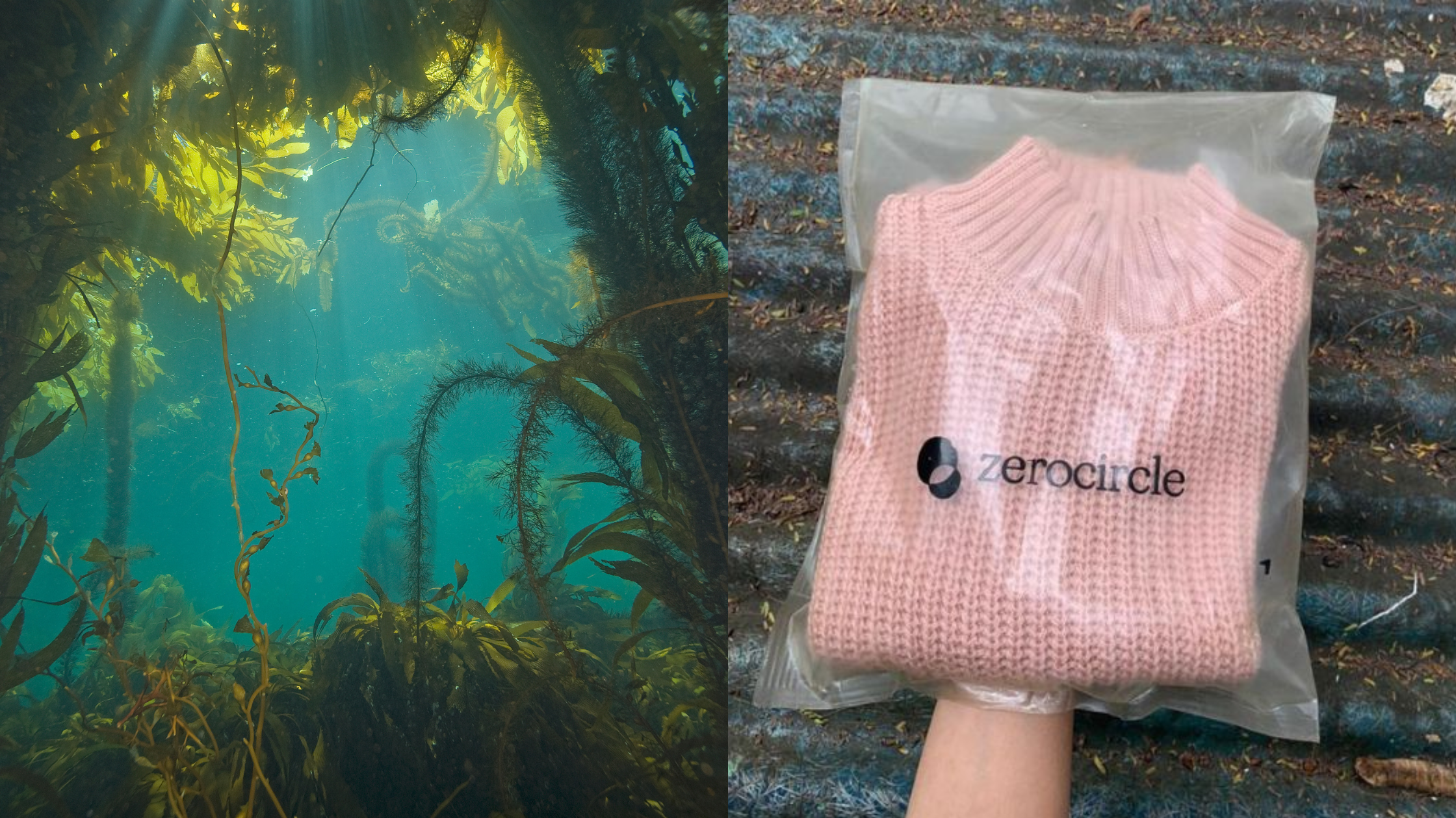 Indian Seaweed: The New Plastic Replacement by Zerocircle – REFASH