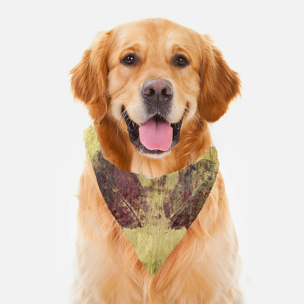 Natural Pet Scarves