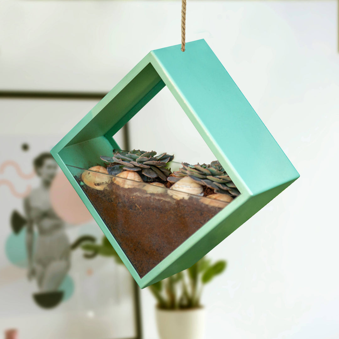 Disch Square Hydroponic Planter