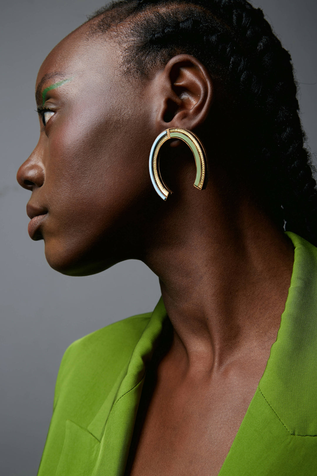 Horse Shoe-Parrot Green and Blue Earrings
