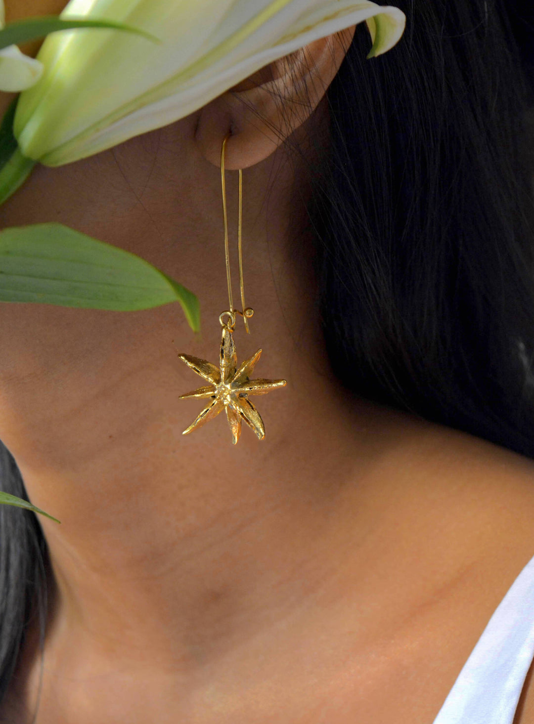 Star Earrings