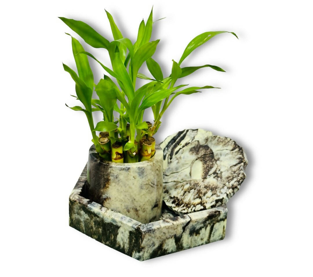 Green Living Trio Hamper