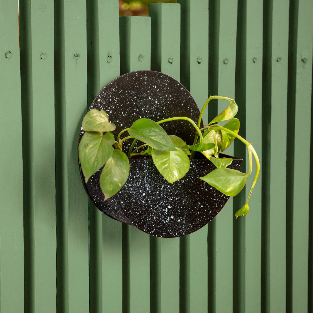 Large Berry Circular Planter