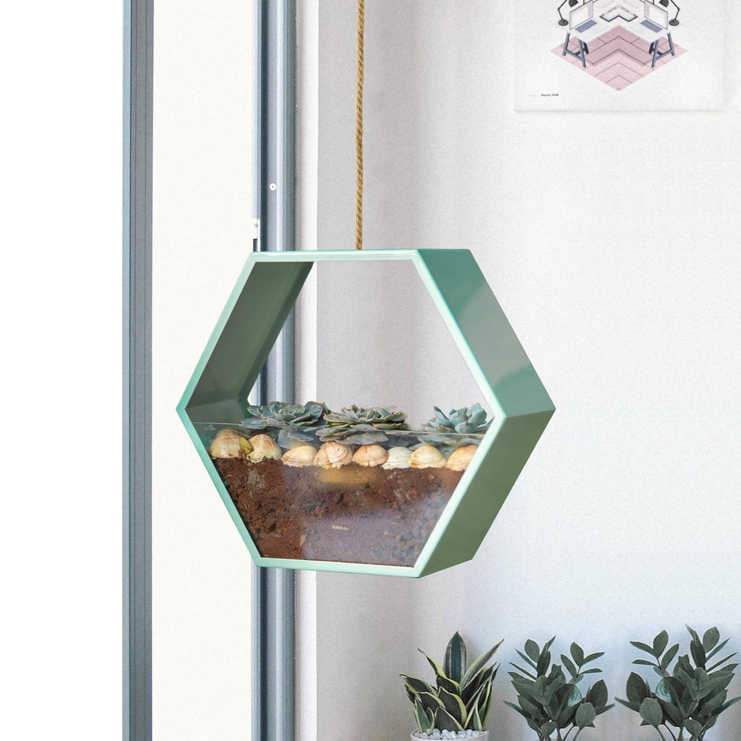 Disch Hexagon Hydroponic Planter