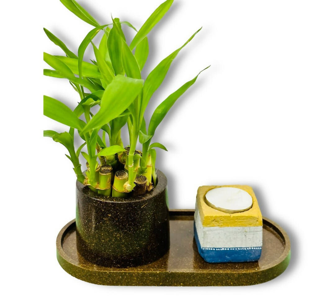 Tray of Serenity Set