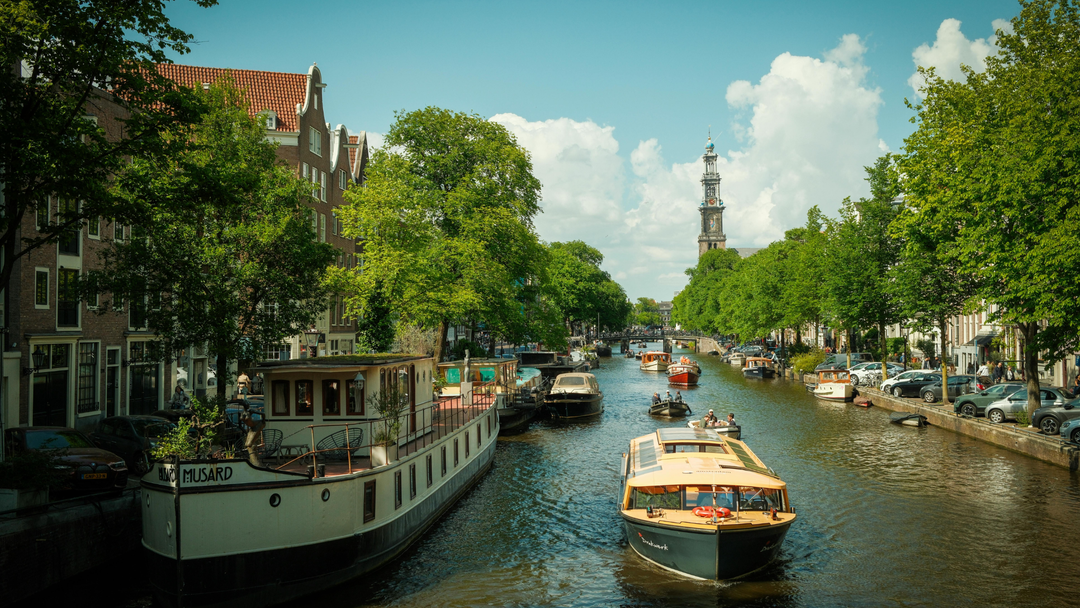 Sustainable Cities Uncovered: What Makes Them So Green?