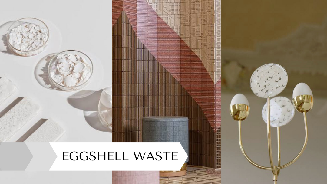 Repurposed Eggshell Waste into Sustainable Designs