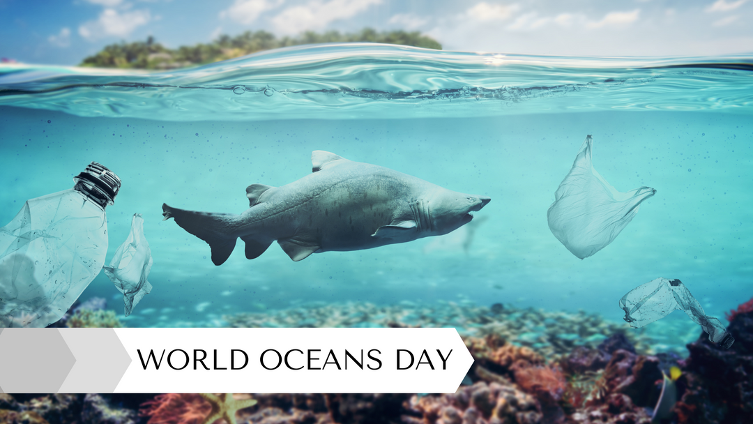 Sustainable Waves: The Impact of World Oceans Day Initiatives