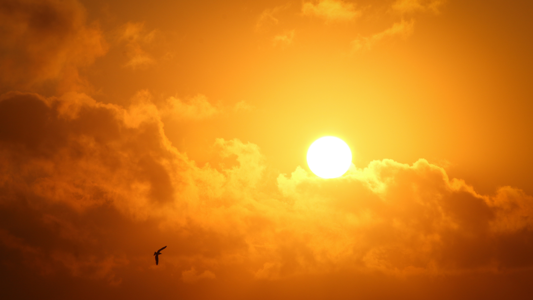 Heat Across Europe Is Exposing the Global Climate Crisis