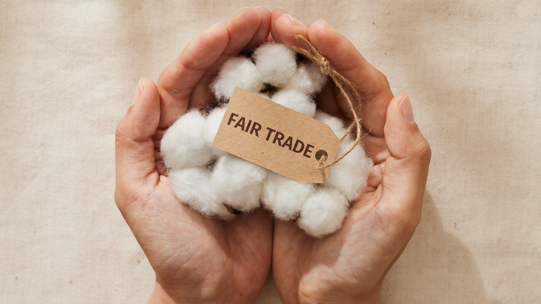 Certifications That Actually Stand for Fair, Sustainable Fashion