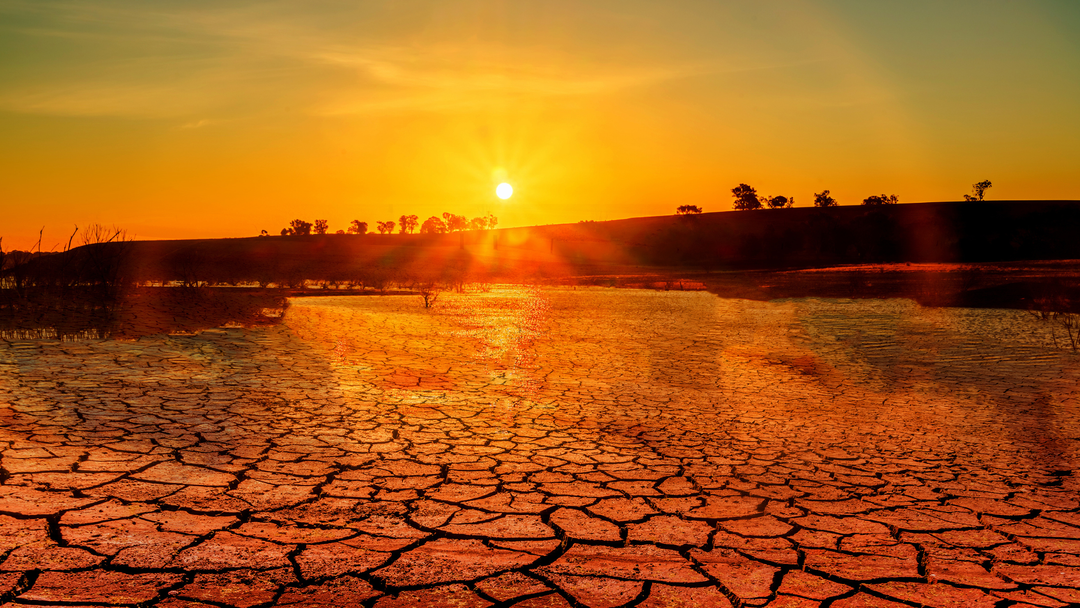 World Environment Day 2026: Why Heatwaves Are the Planet's Warning