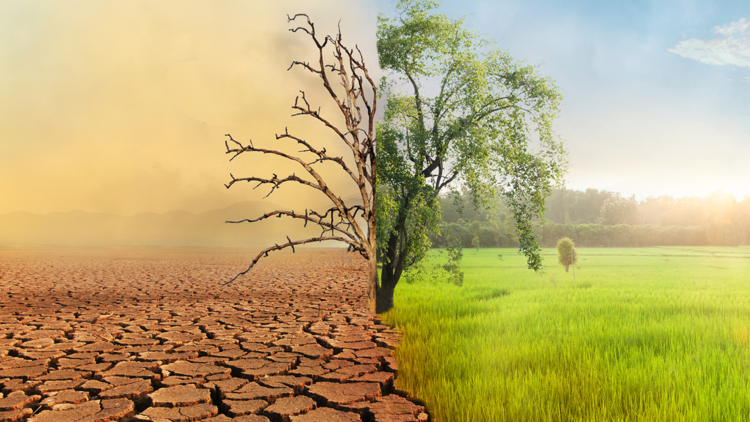 The UN Says We Used Up Earth's Resources, but People Ask Who's "We"?