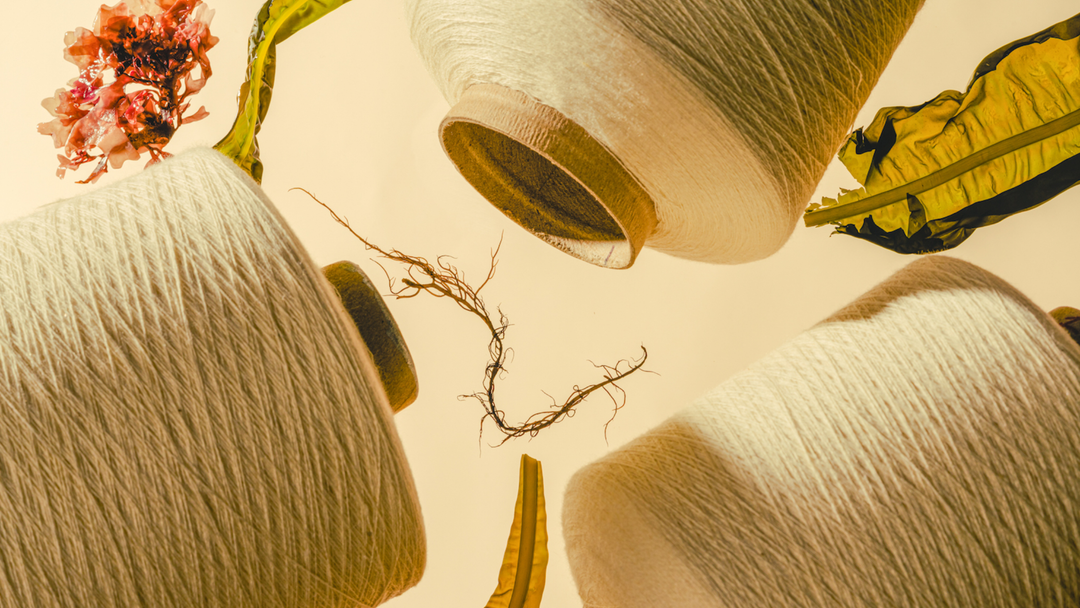 Keel Labs Files Bankruptcy. Are Sustainable Materials Hard to Scale?