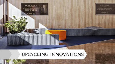 Essential Insights into Exciting Upcycling Innovations