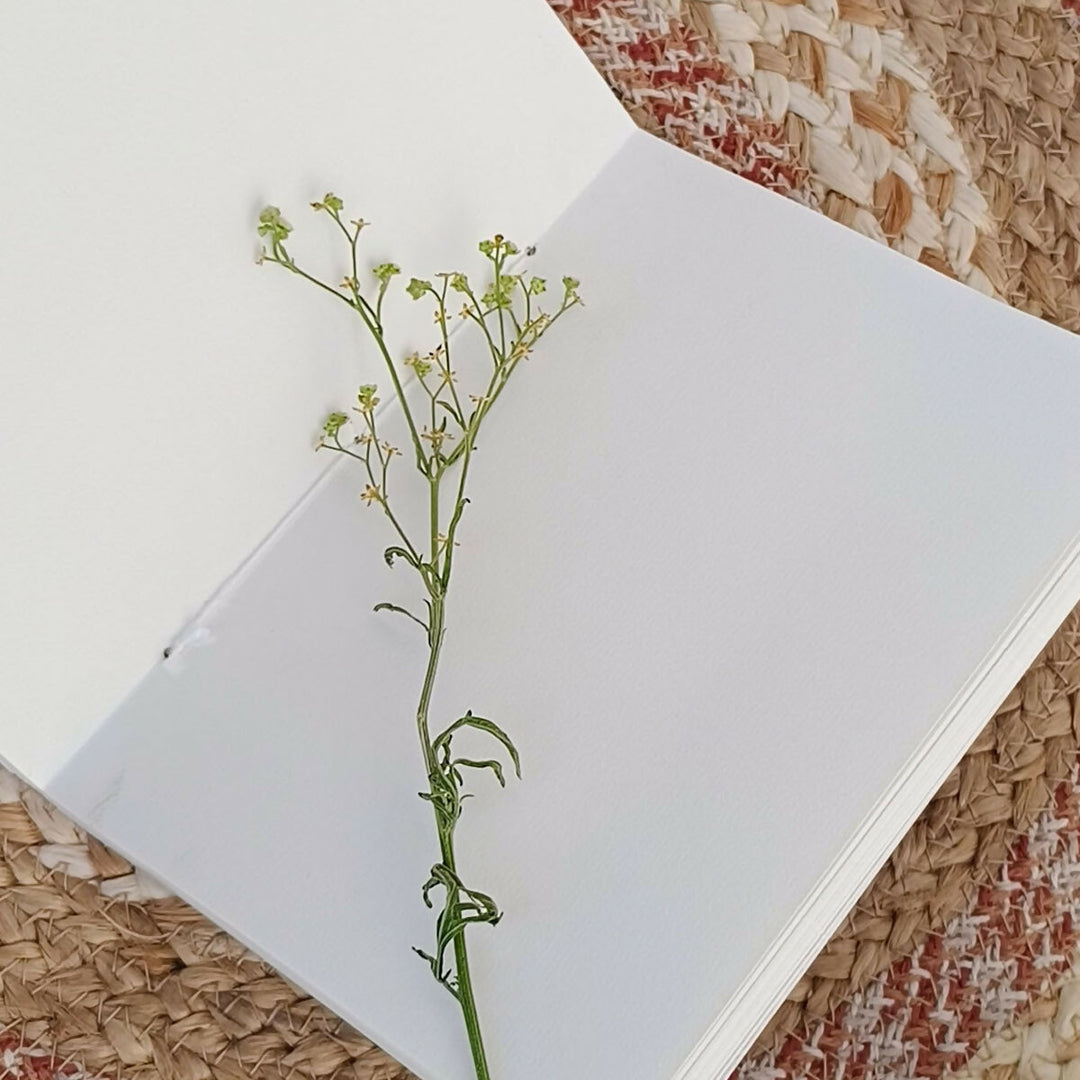 Eco-printed Handmade Journal - Blooming Green