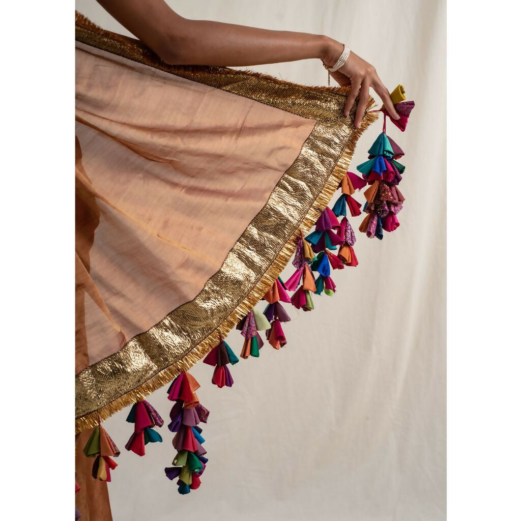 Sarojini Sari