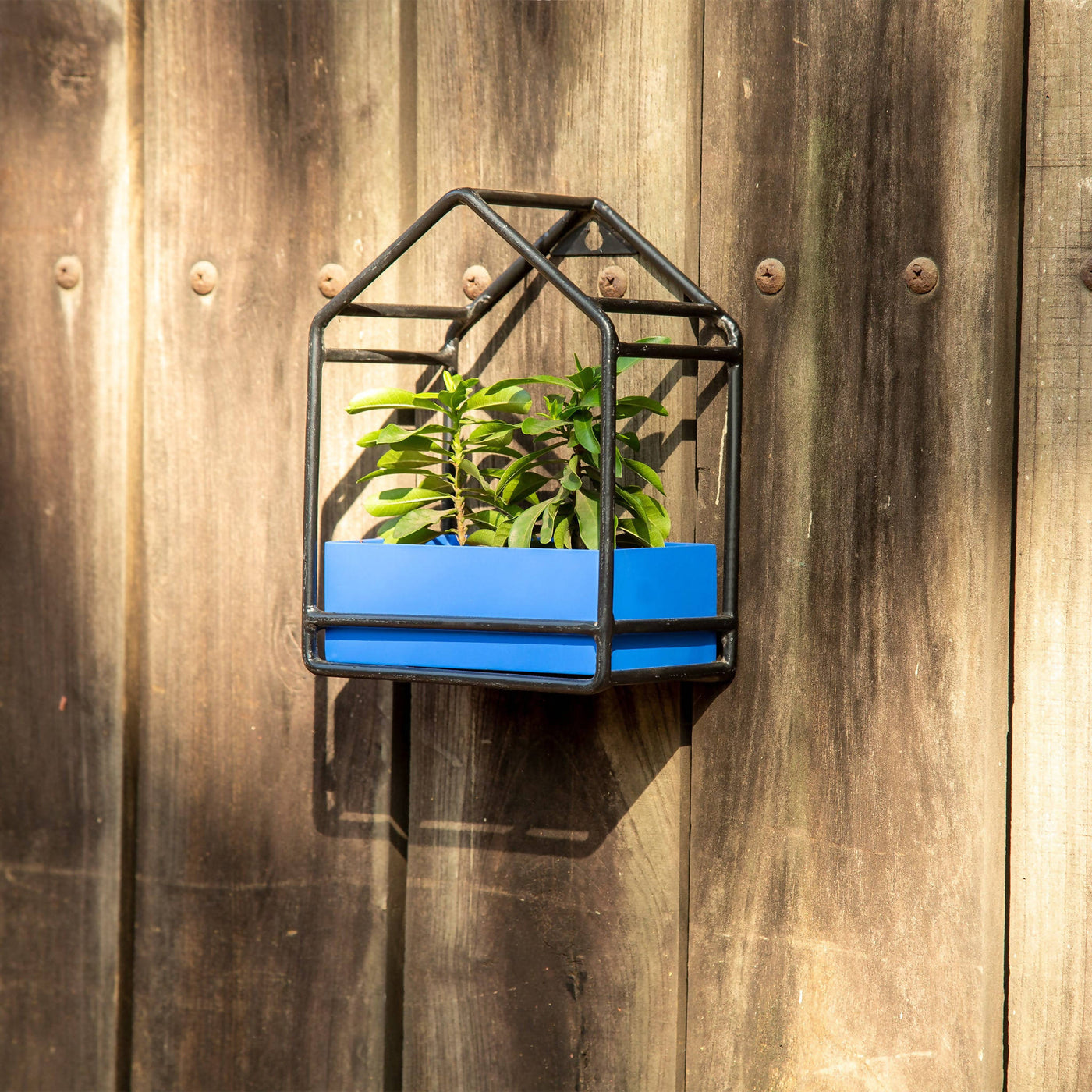 Small Chase House Planter