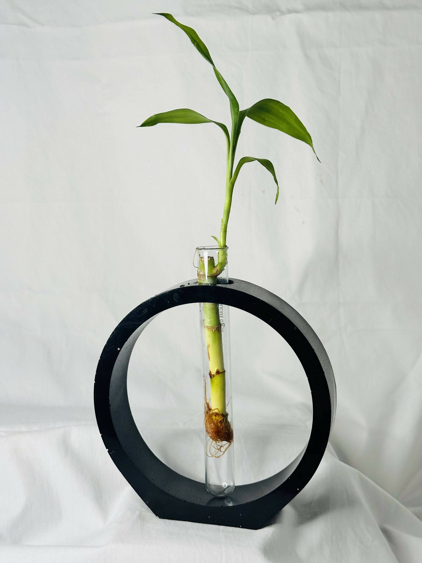Circular Hollow Planter
