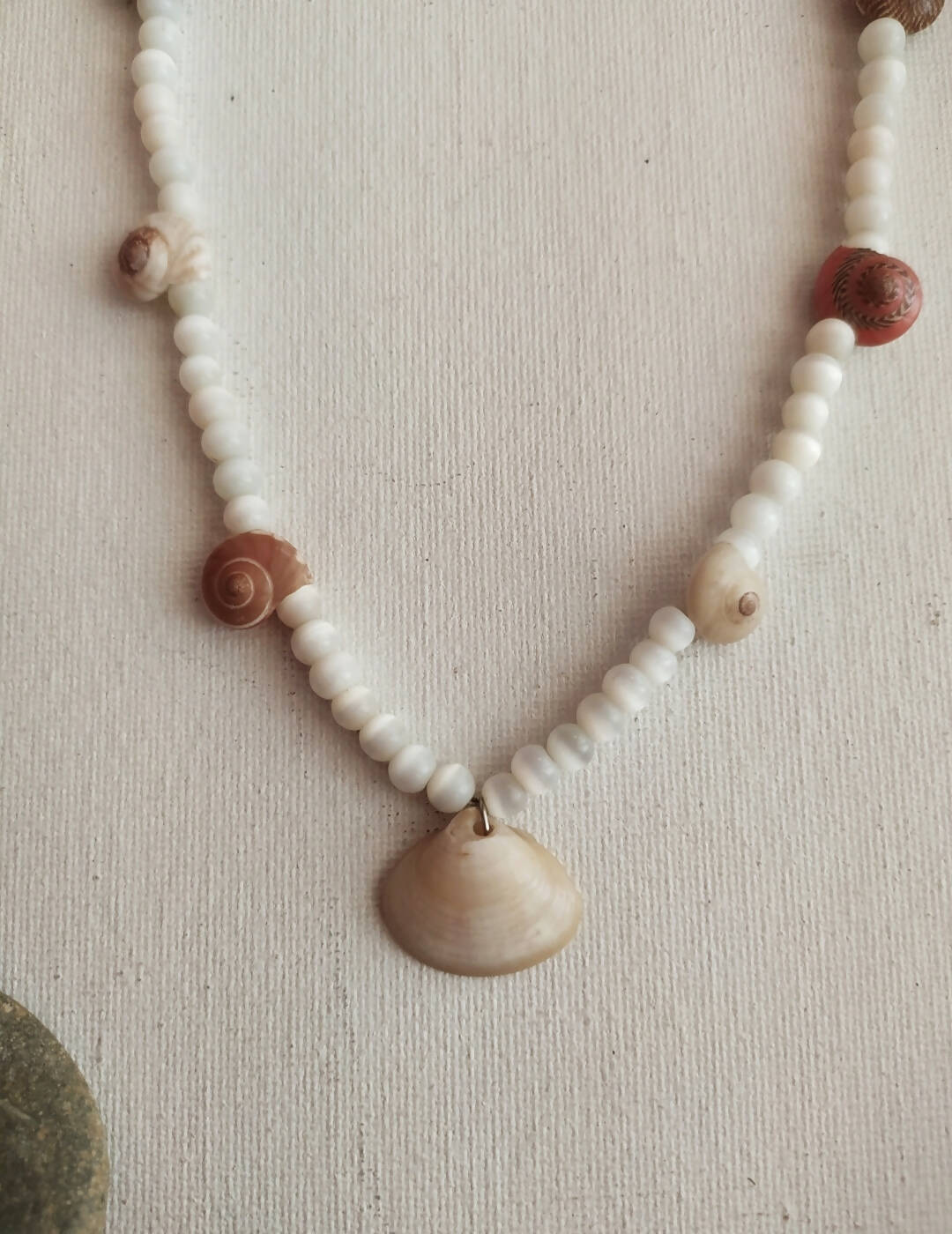 Shells Necklace