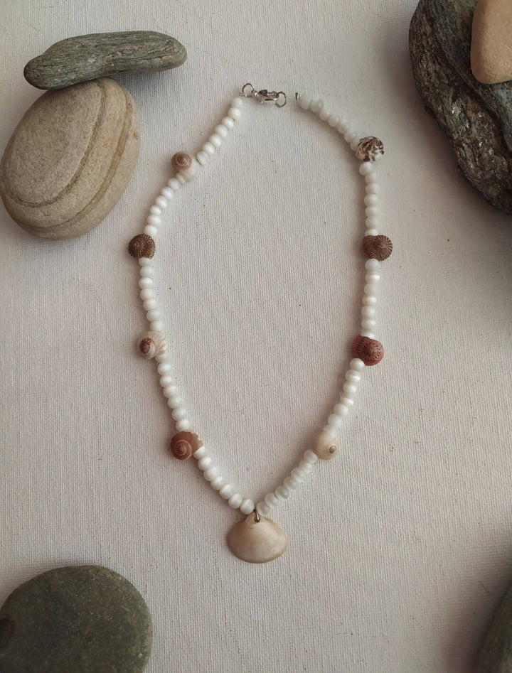 Shells Necklace