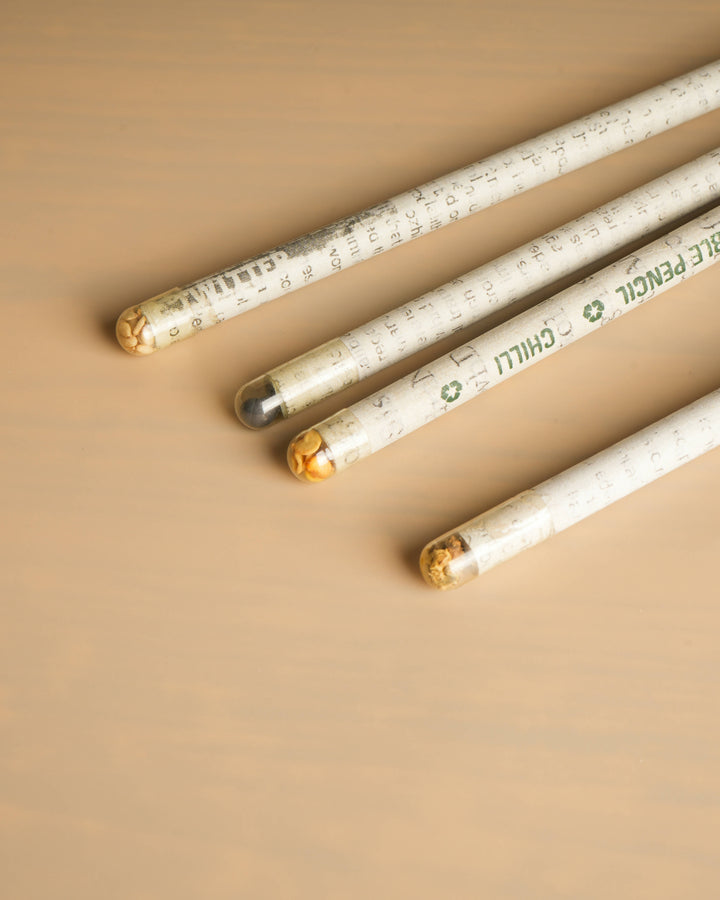 Plantable Seed Pencils